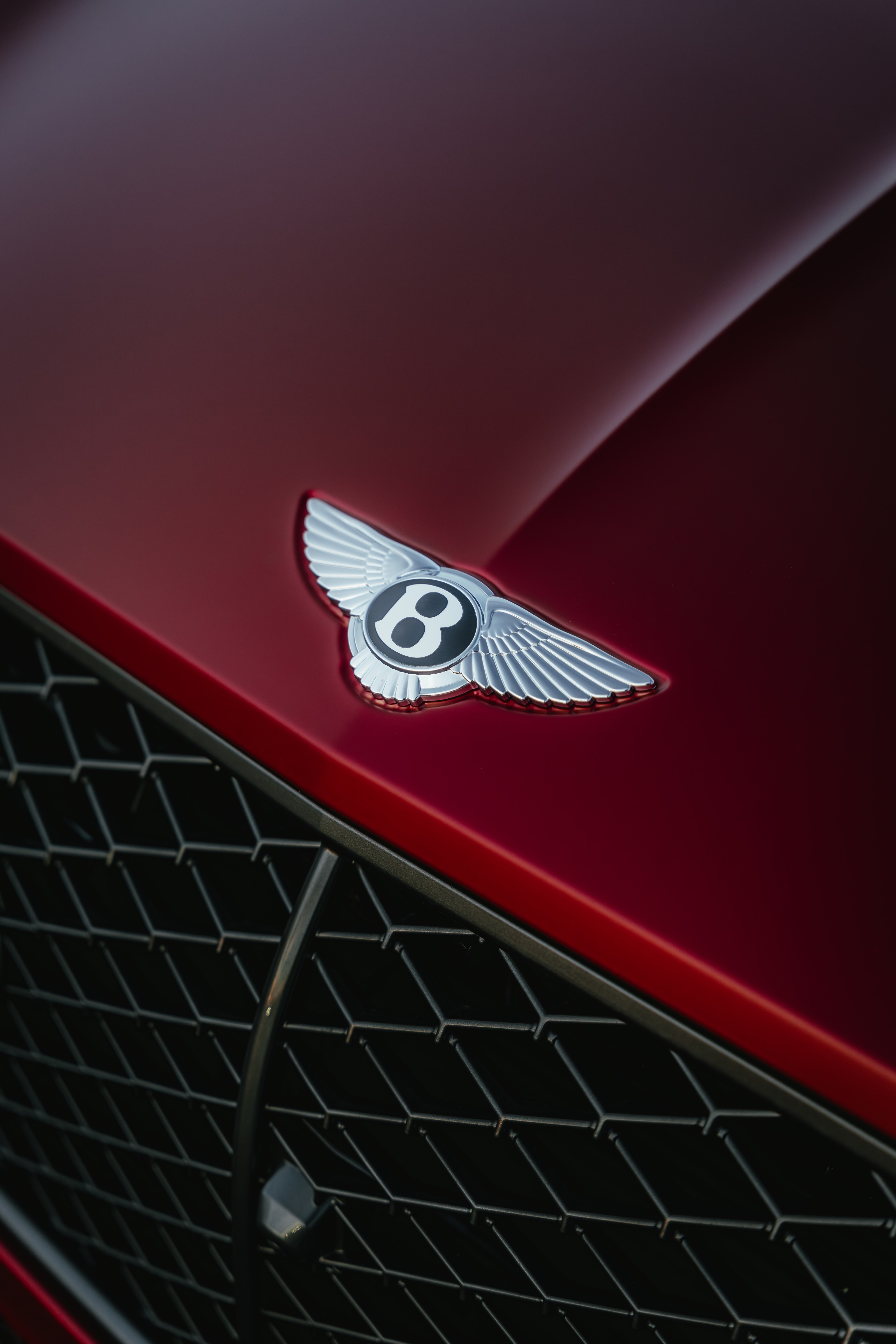 Bentley wings badge and grille — paint detail