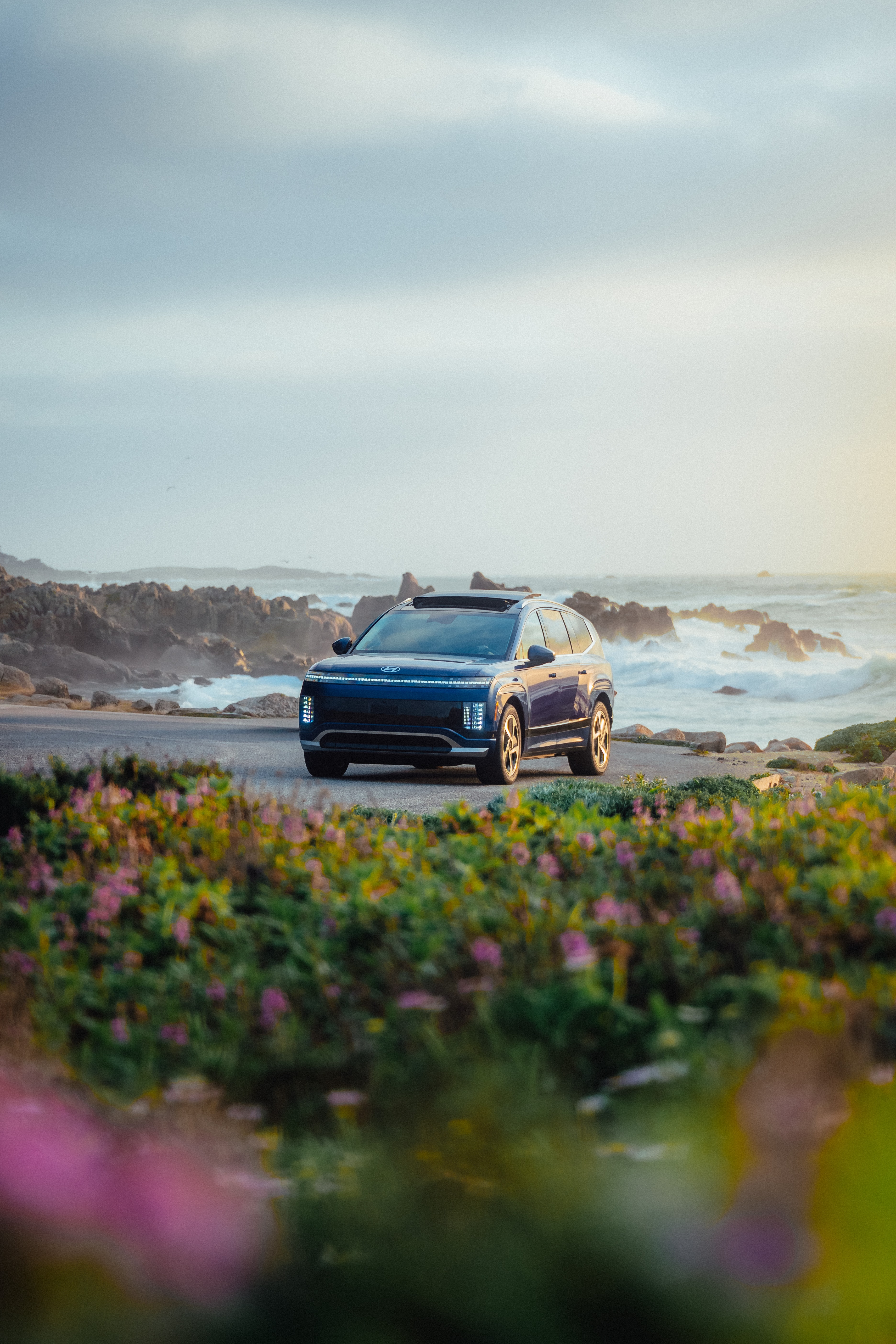 Hyundai IONIQ 9 front three-quarter on the coast road, wildflowers in the foreground
