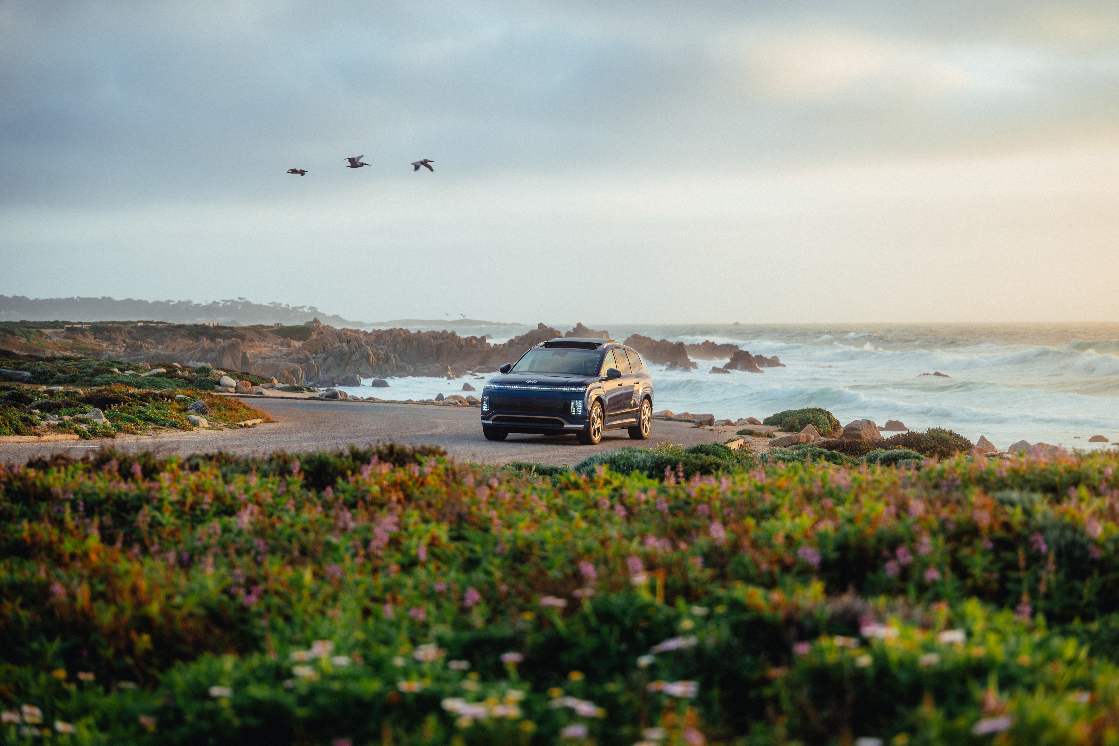 Hyundai IONIQ 9 front three-quarter on the Big Sur coast road, gulls over the surf, wildflowers in the foreground
