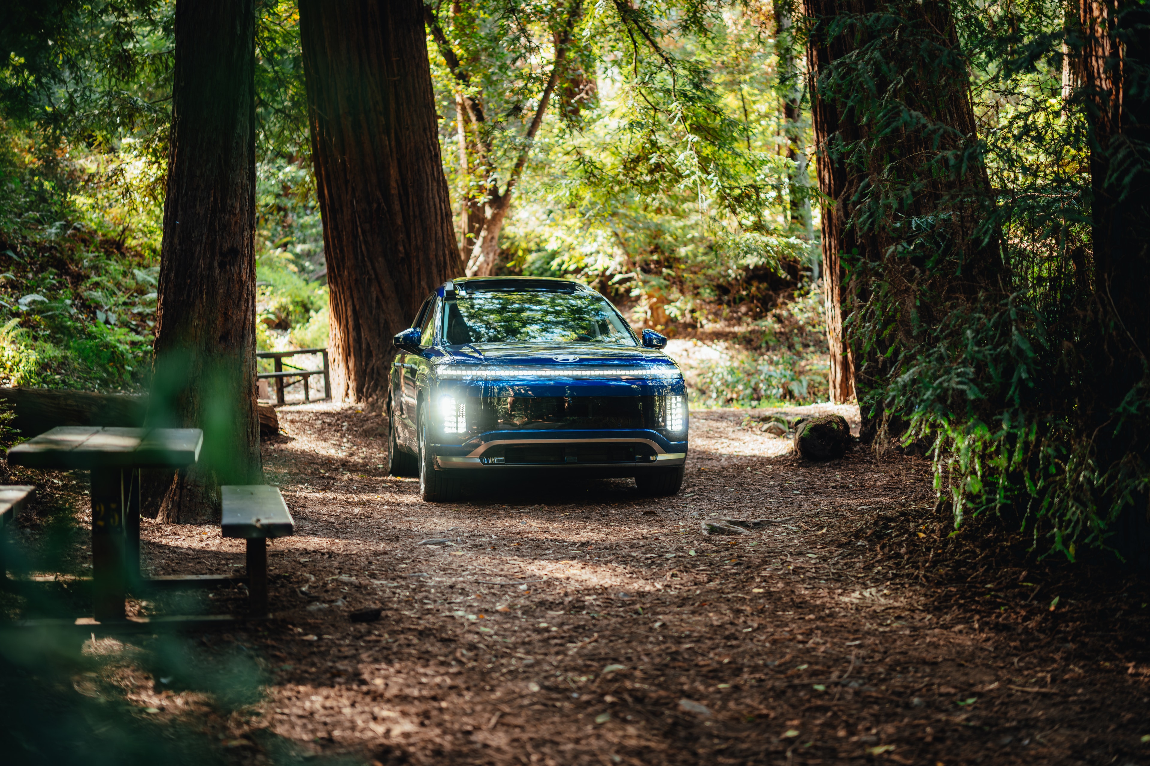 Hyundai IONIQ 9 head-on in a redwood grove, headlights lit