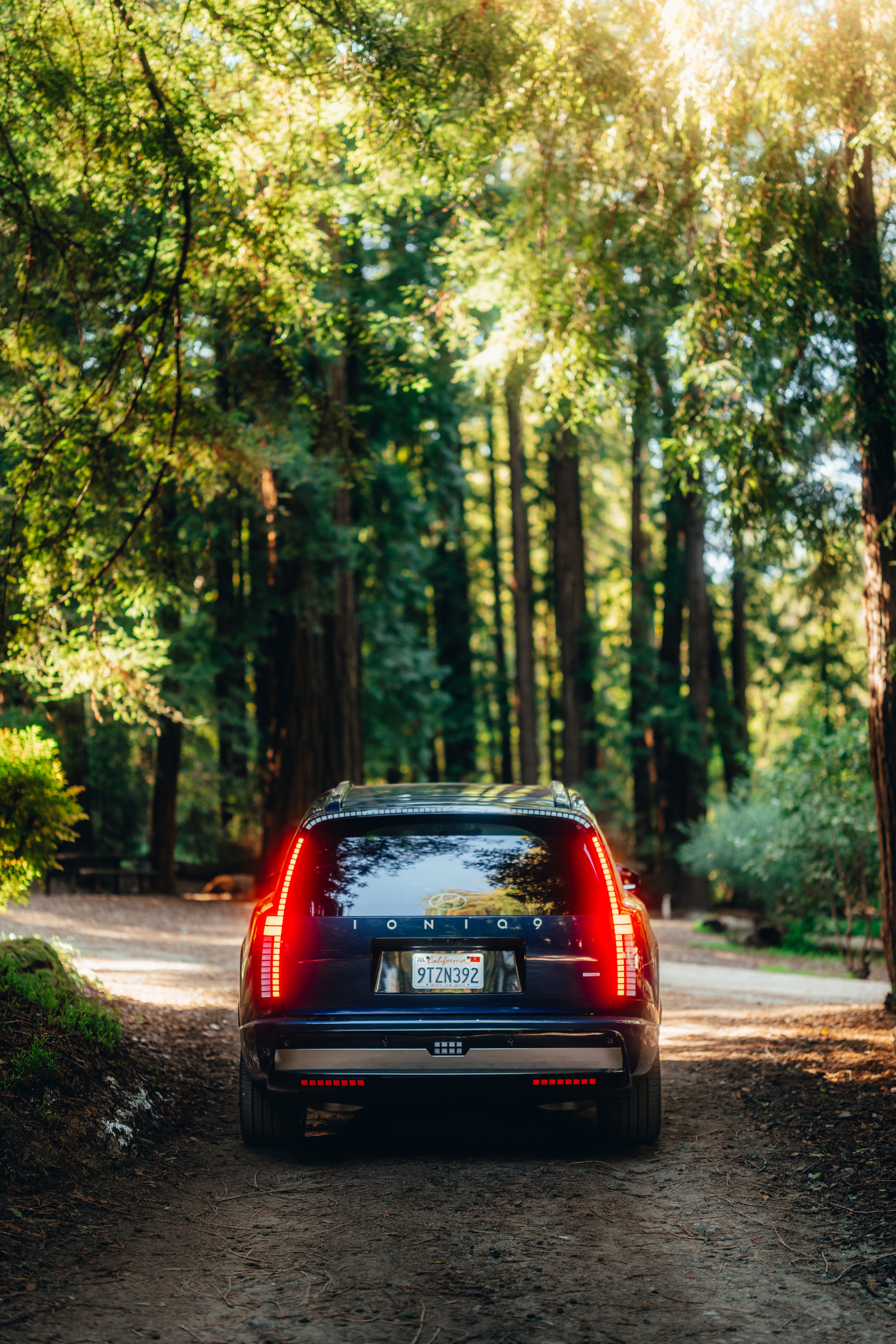 Hyundai IONIQ 9 rear with the IONIQ 9 badge, light rays through the redwoods