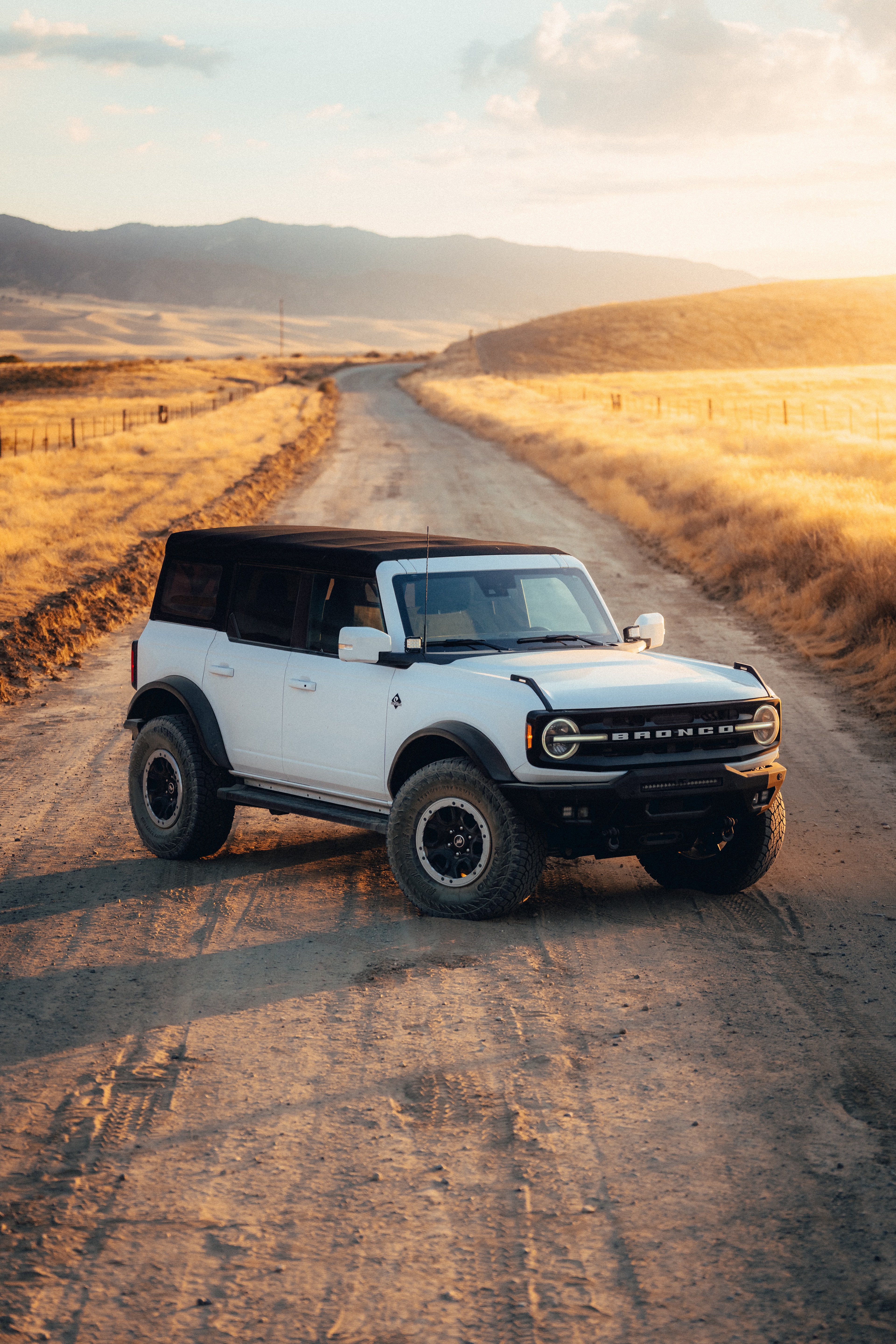 Ford Bronco — vertical portrait detail