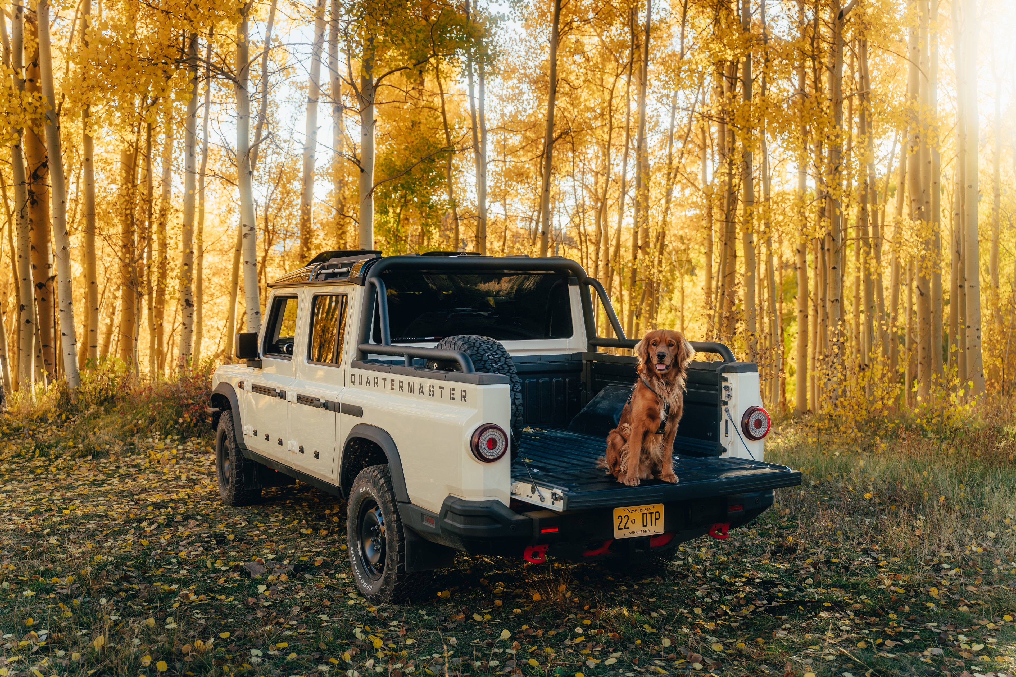 A golden retriever in the Quartermaster's truck bed among glowing fall aspens