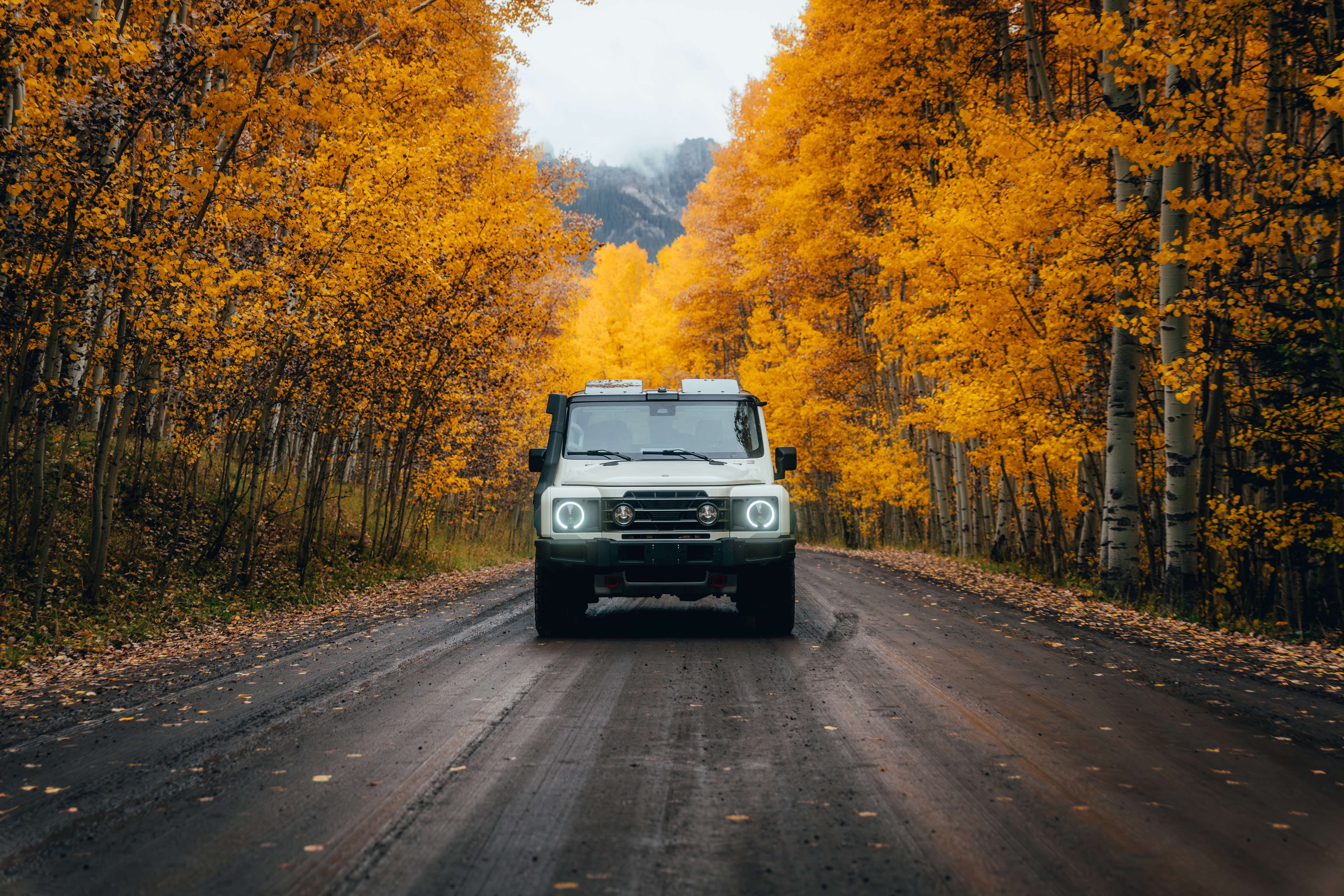 INEOS Grenadier Quartermaster head-on in a tunnel of golden aspens, a peak beyond