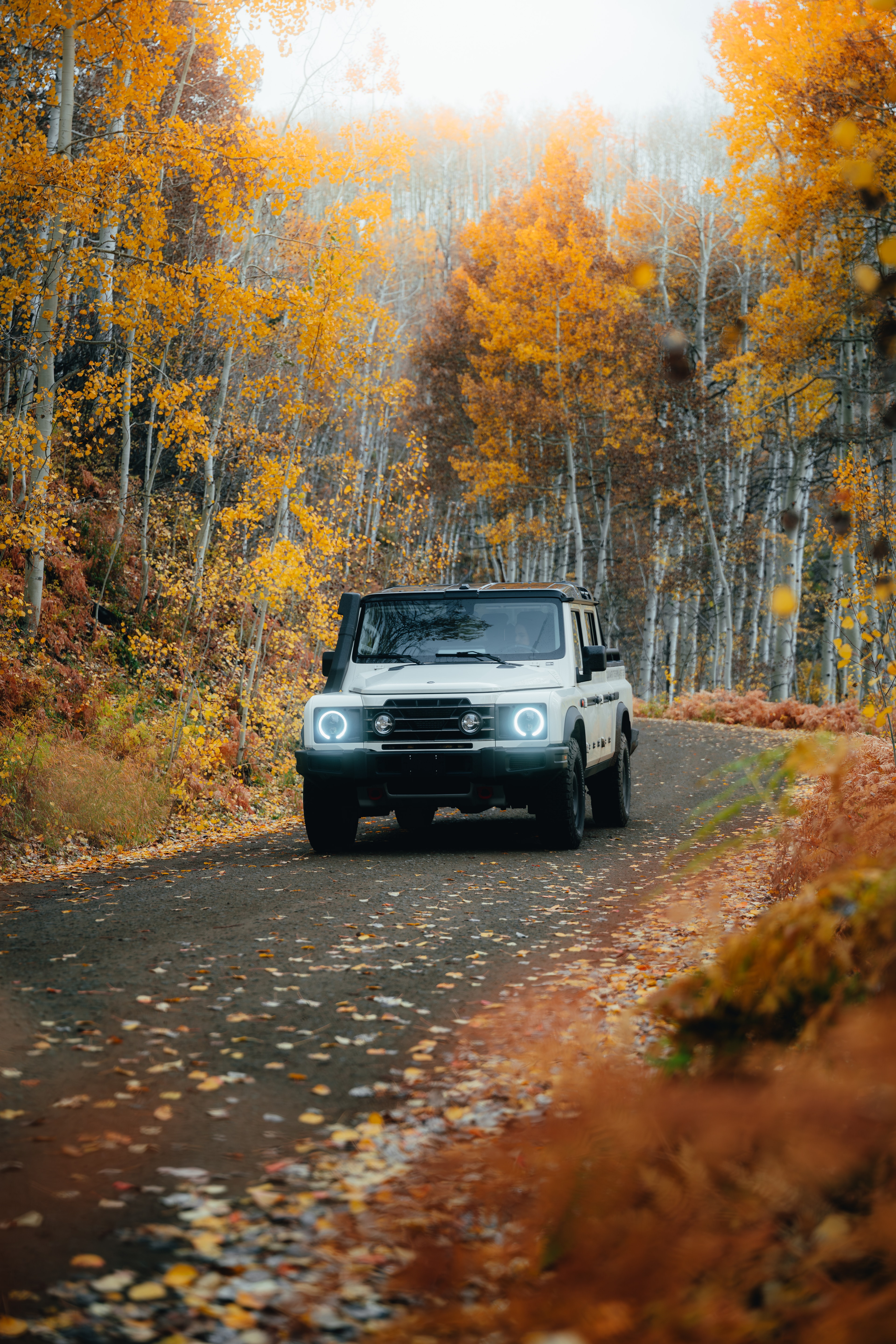 INEOS Grenadier Quartermaster front three-quarter on an aspen-lined road, leaves down