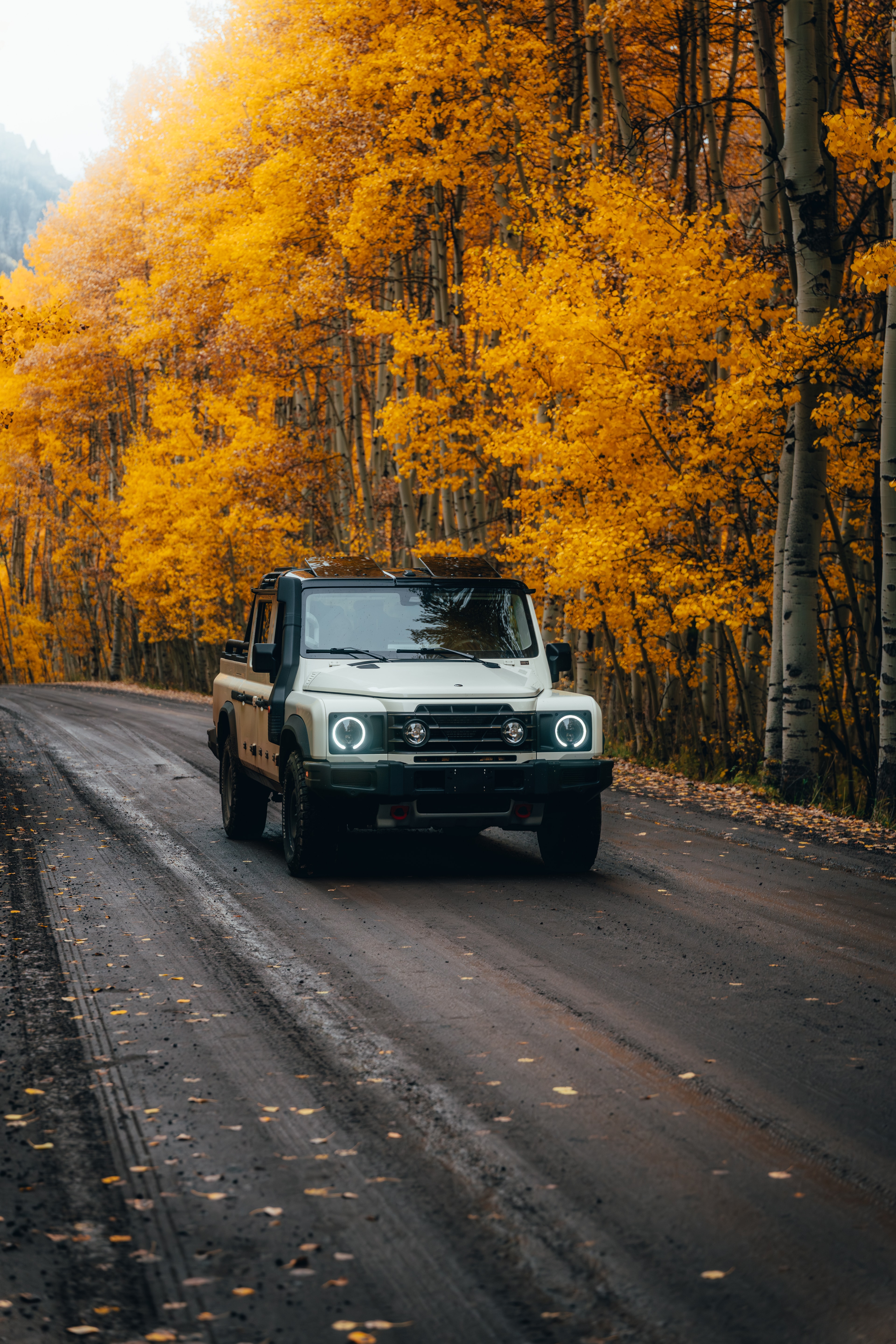 INEOS Grenadier Quartermaster under overhanging golden aspens