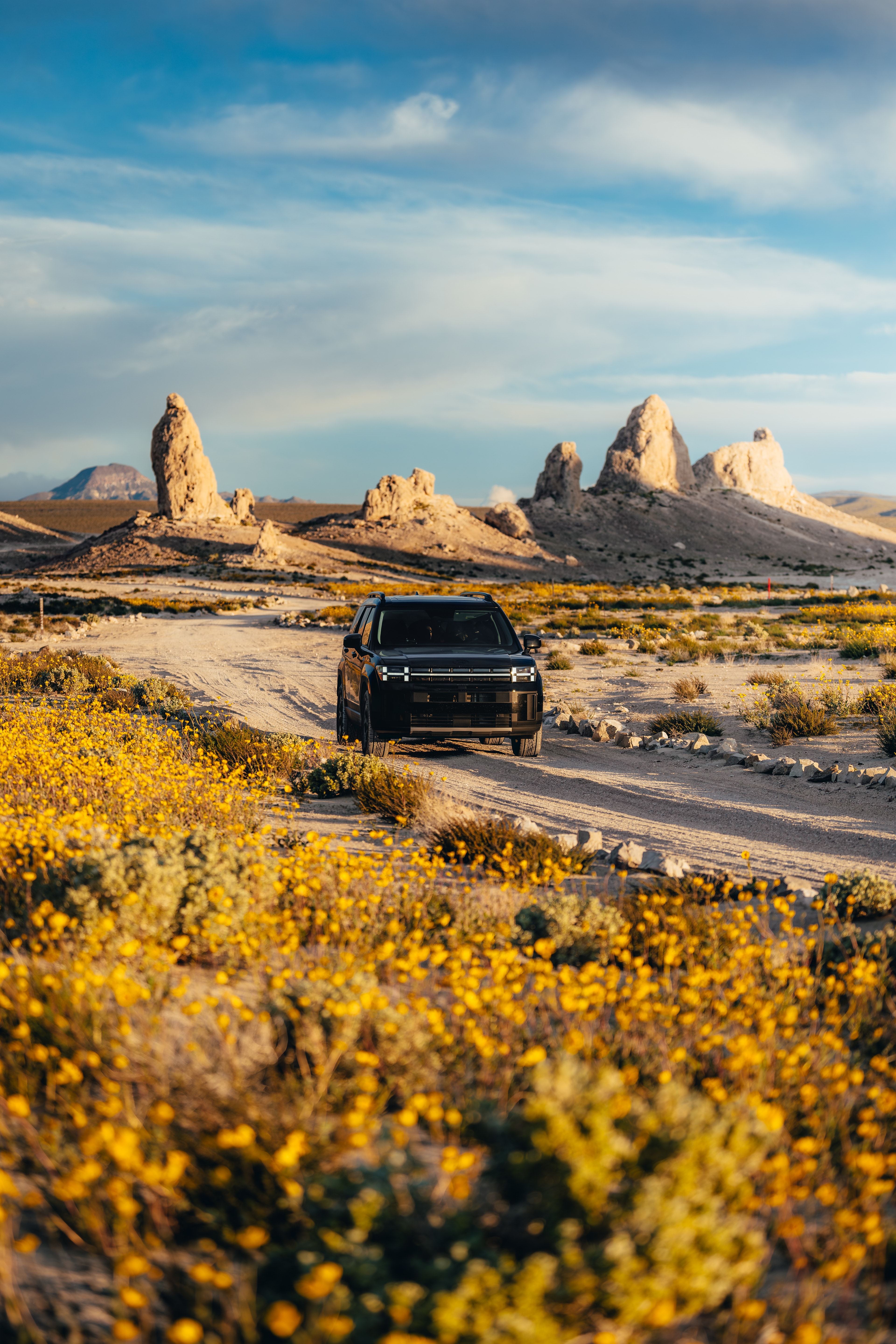 Hyundai Santa Fe head-on among the Trona pinnacles, desert wildflowers in bloom