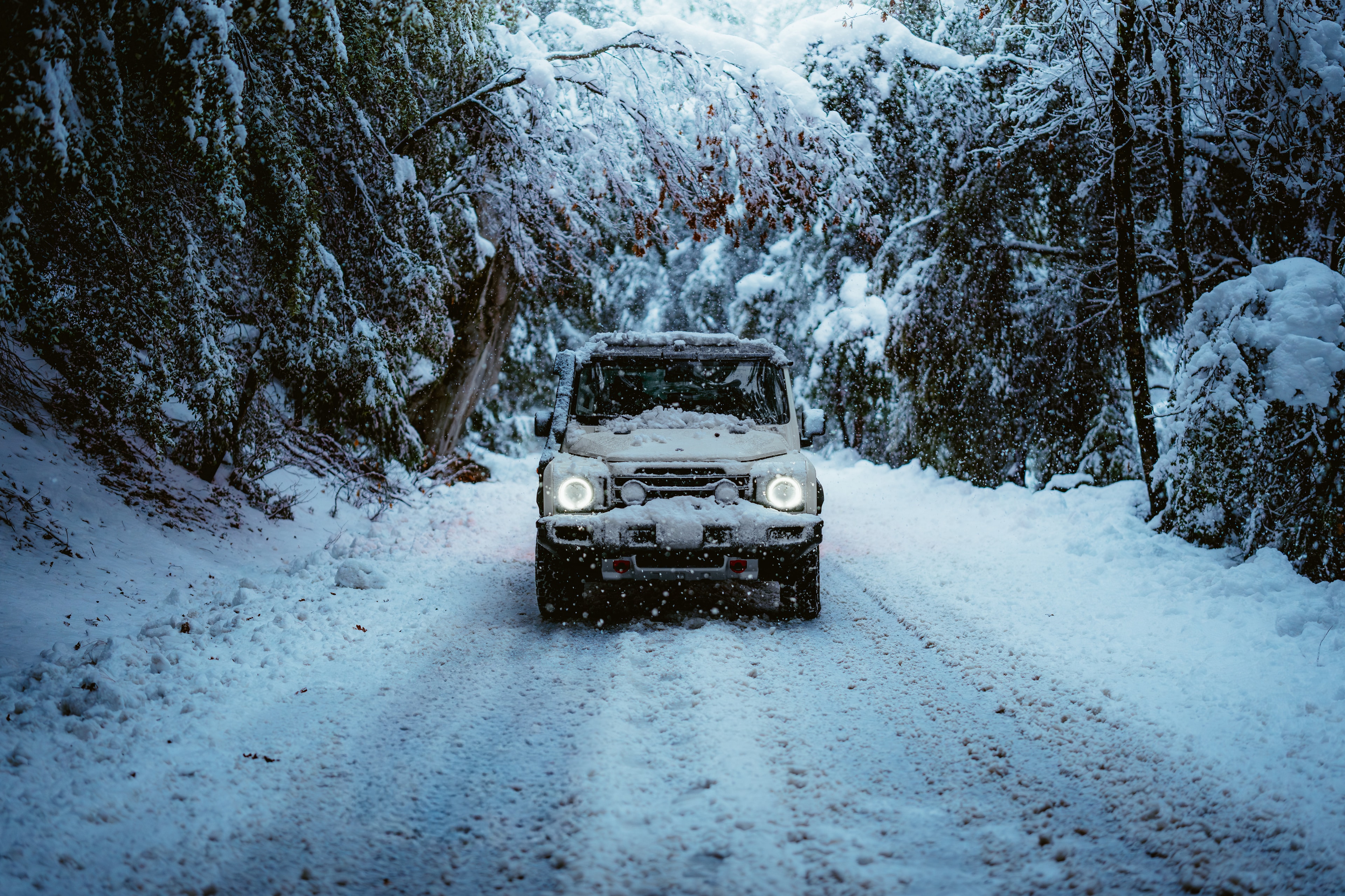 INEOS Grenadier Quartermaster head-on on a snow-covered road, snow-laden trees arching overhead