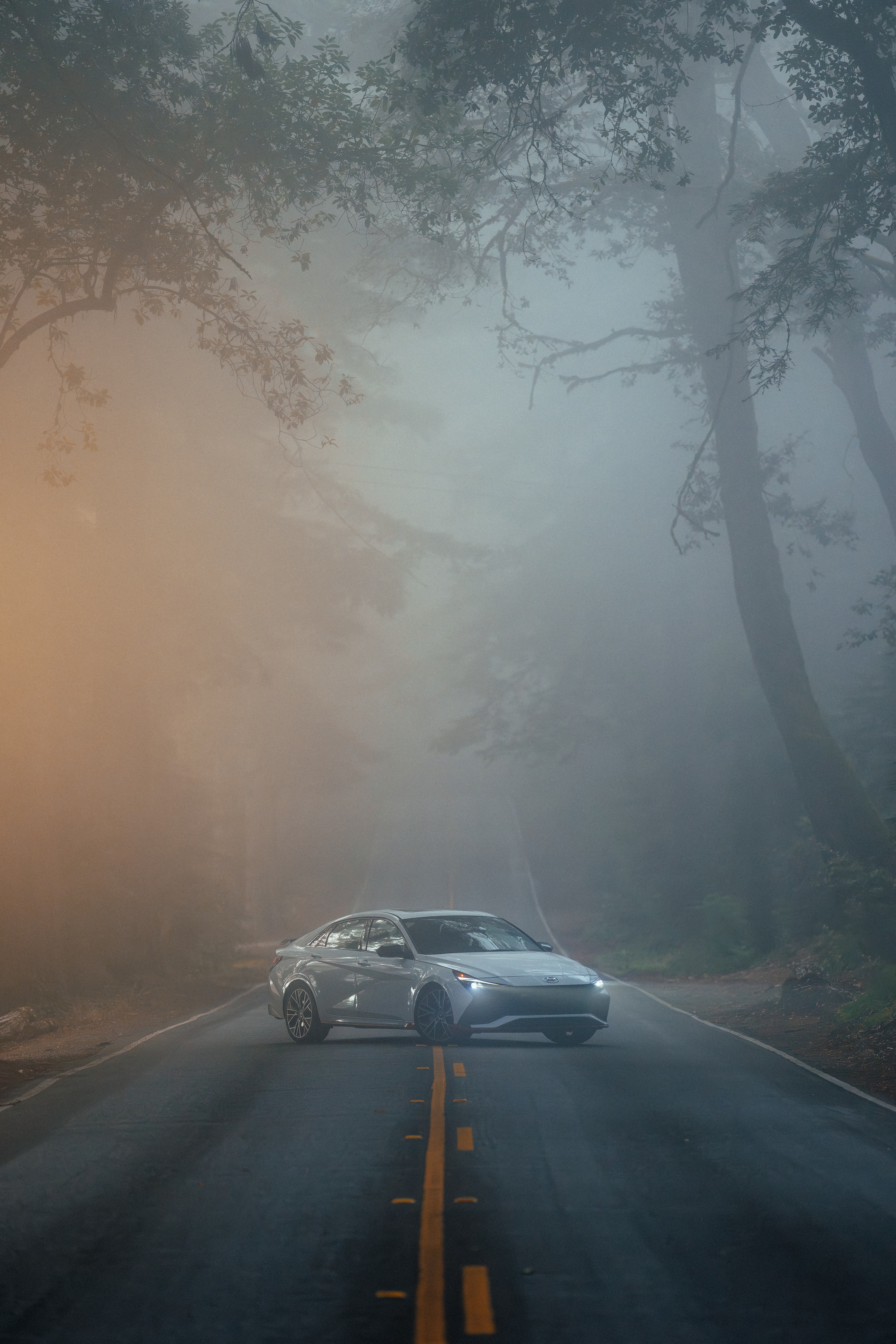 Hyundai Elantra N emerging from heavy fog on a redwood road