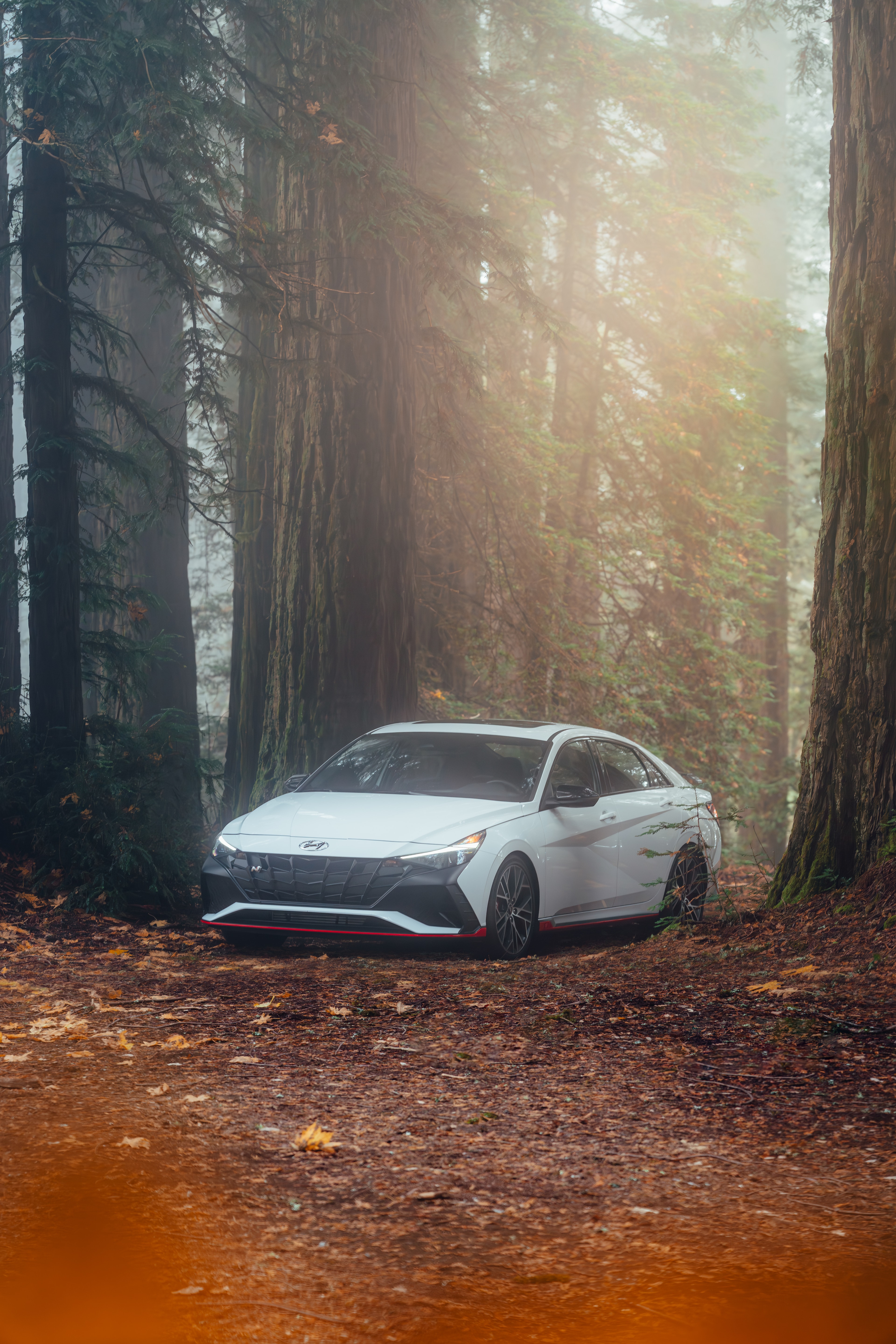 Hyundai Elantra N parked among redwoods, light rays through the fog