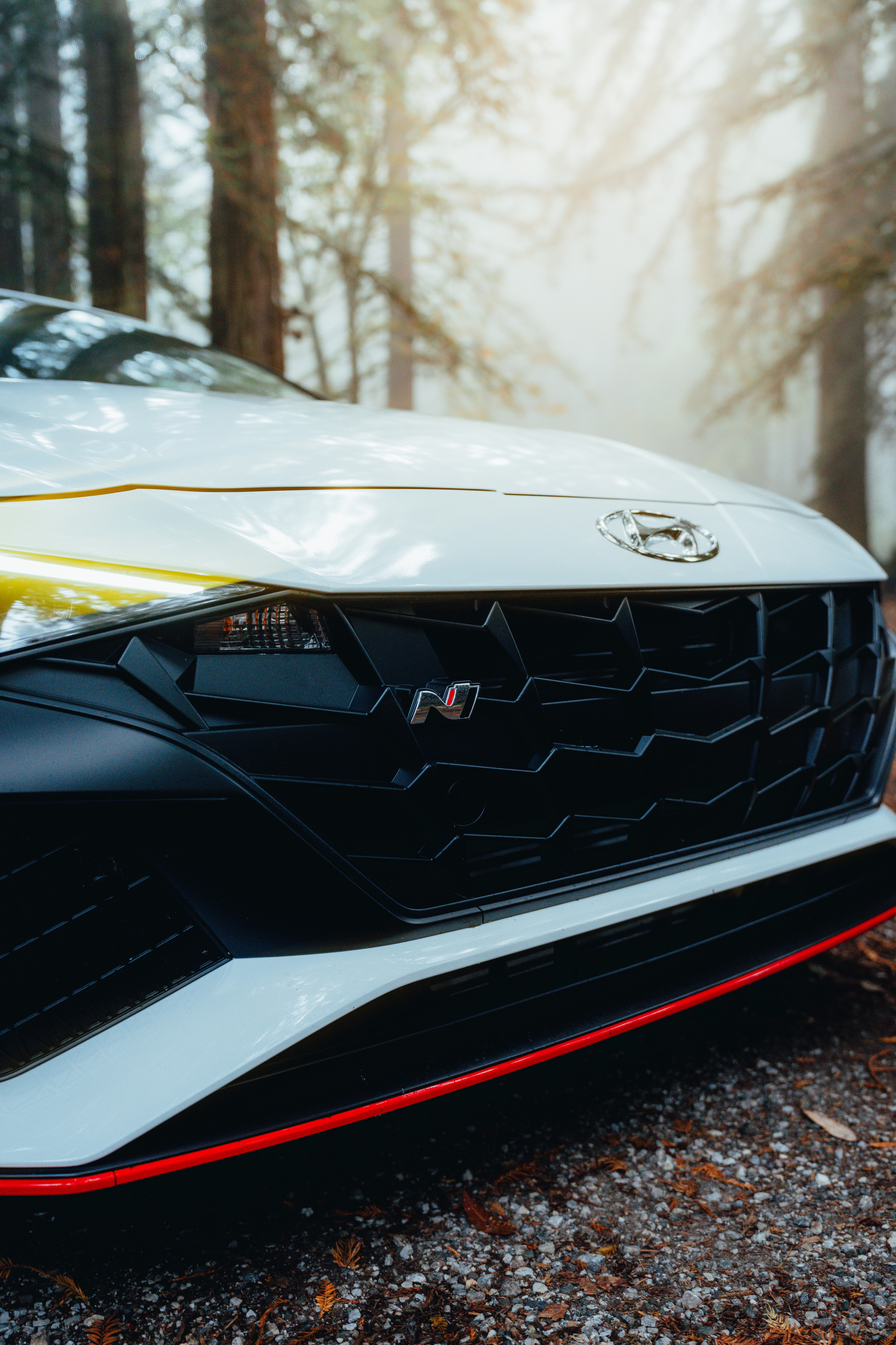 Elantra N grille and N badge detail in the foggy forest