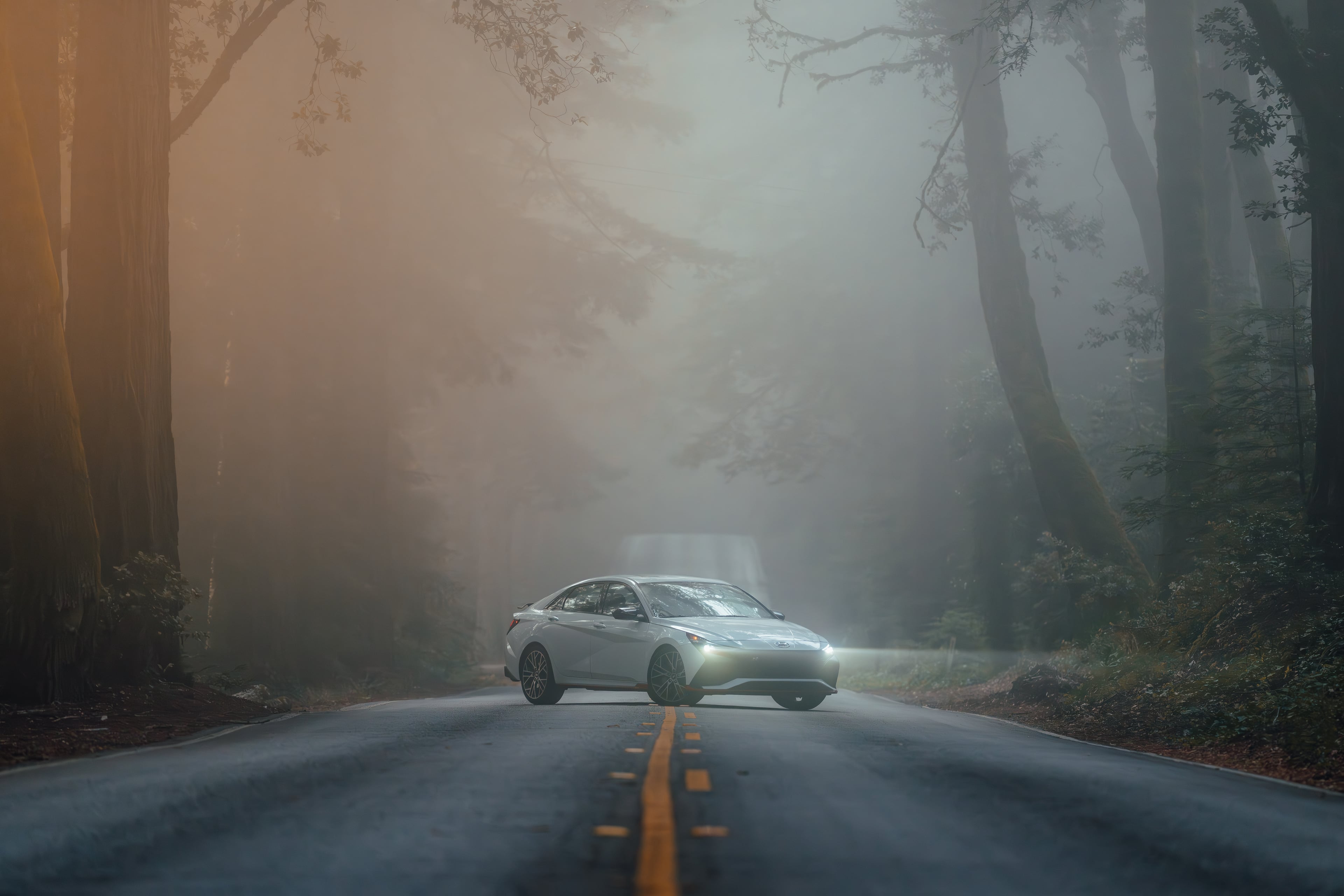 Hyundai Elantra N head-on in heavy fog on a redwood road