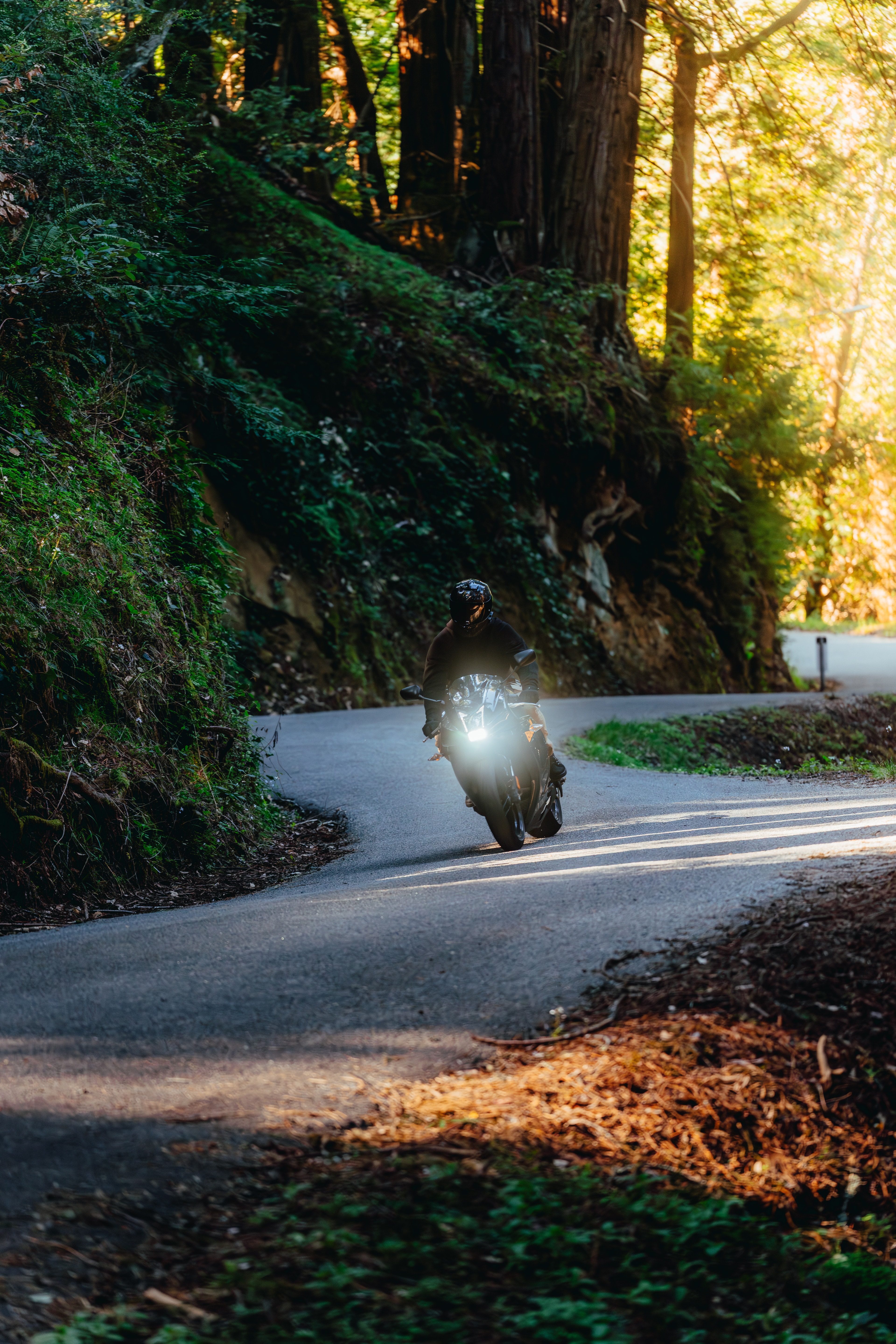 Rider on a Buell head-on in motion, backlit redwood road
