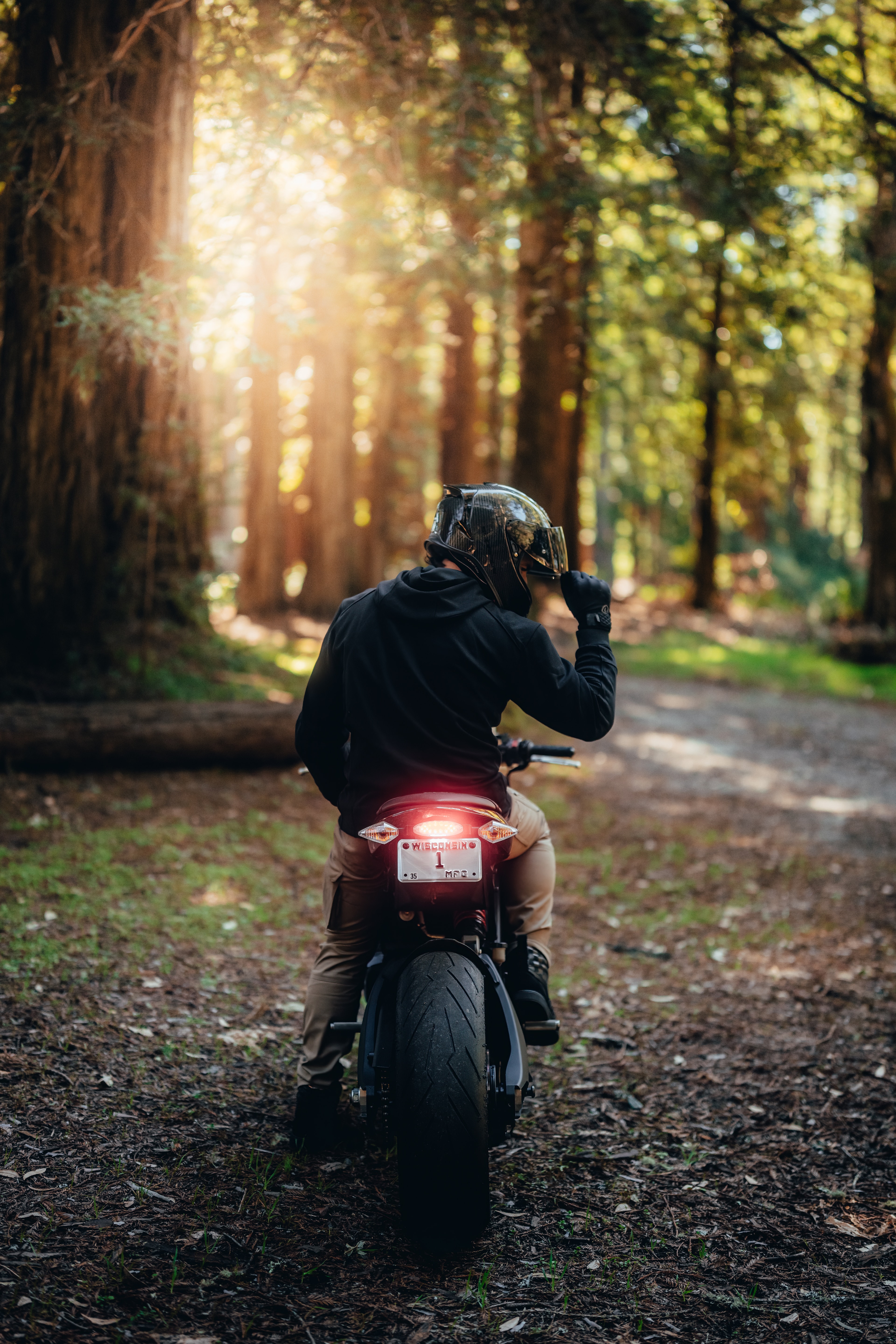 Rider from behind on the Buell, sun rays through the redwoods