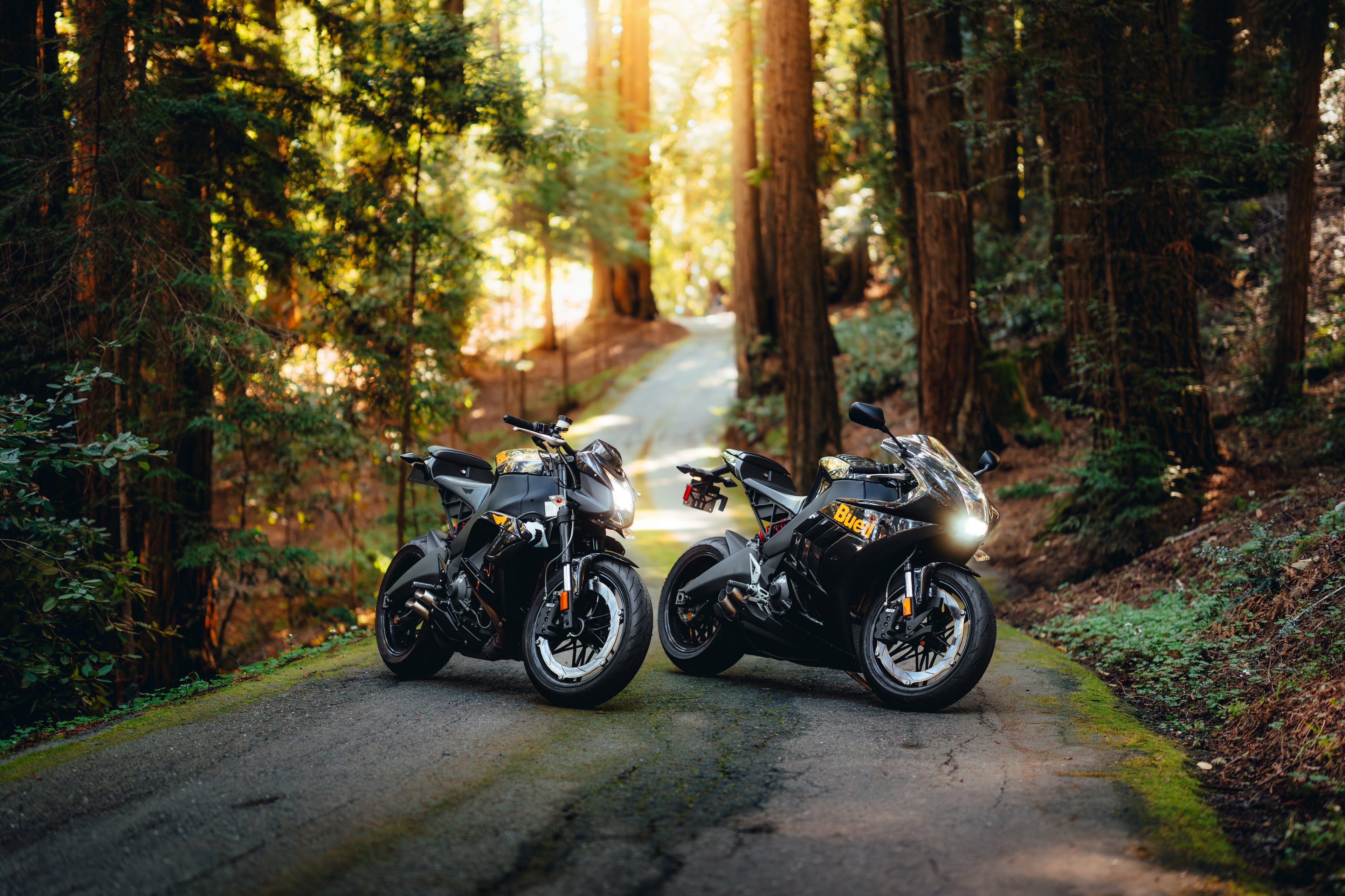 Two Buell sportbikes parked on a redwood canyon road, sun flaring down the lane