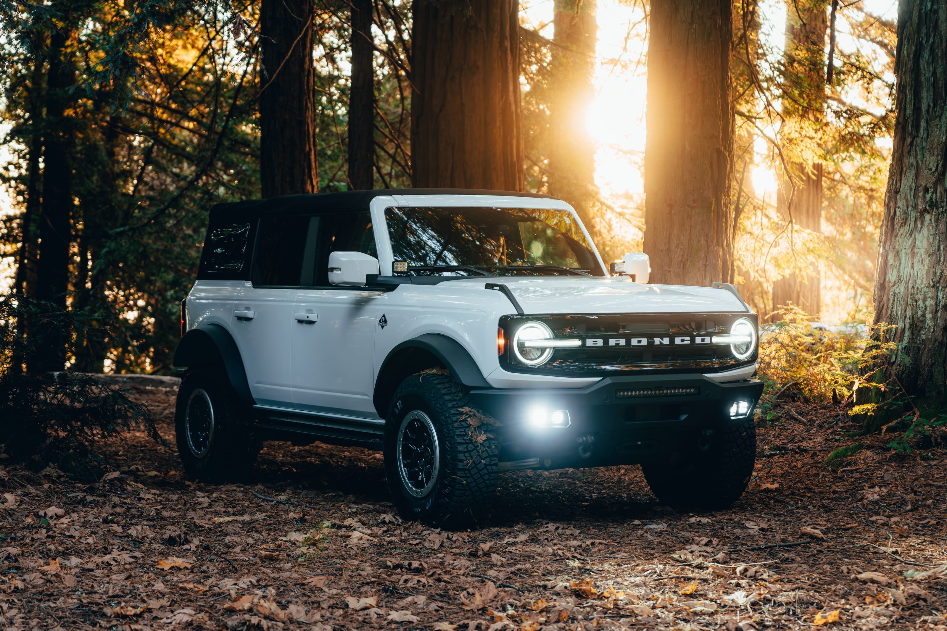 White Ford Bronco in a redwood forest with sun flares through the trees