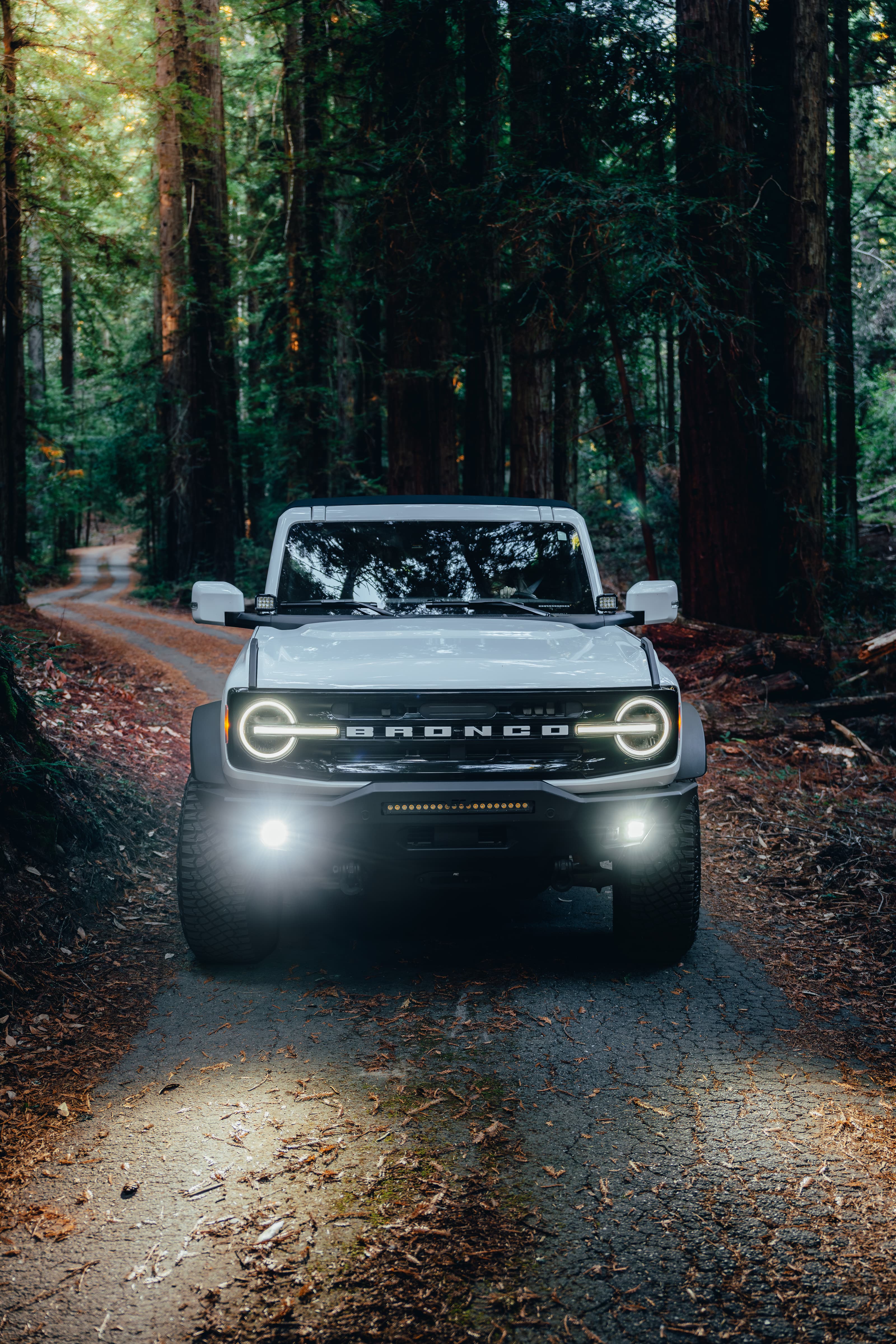 Ford Bronco head-on, headlights lit, on a road through a redwood forest