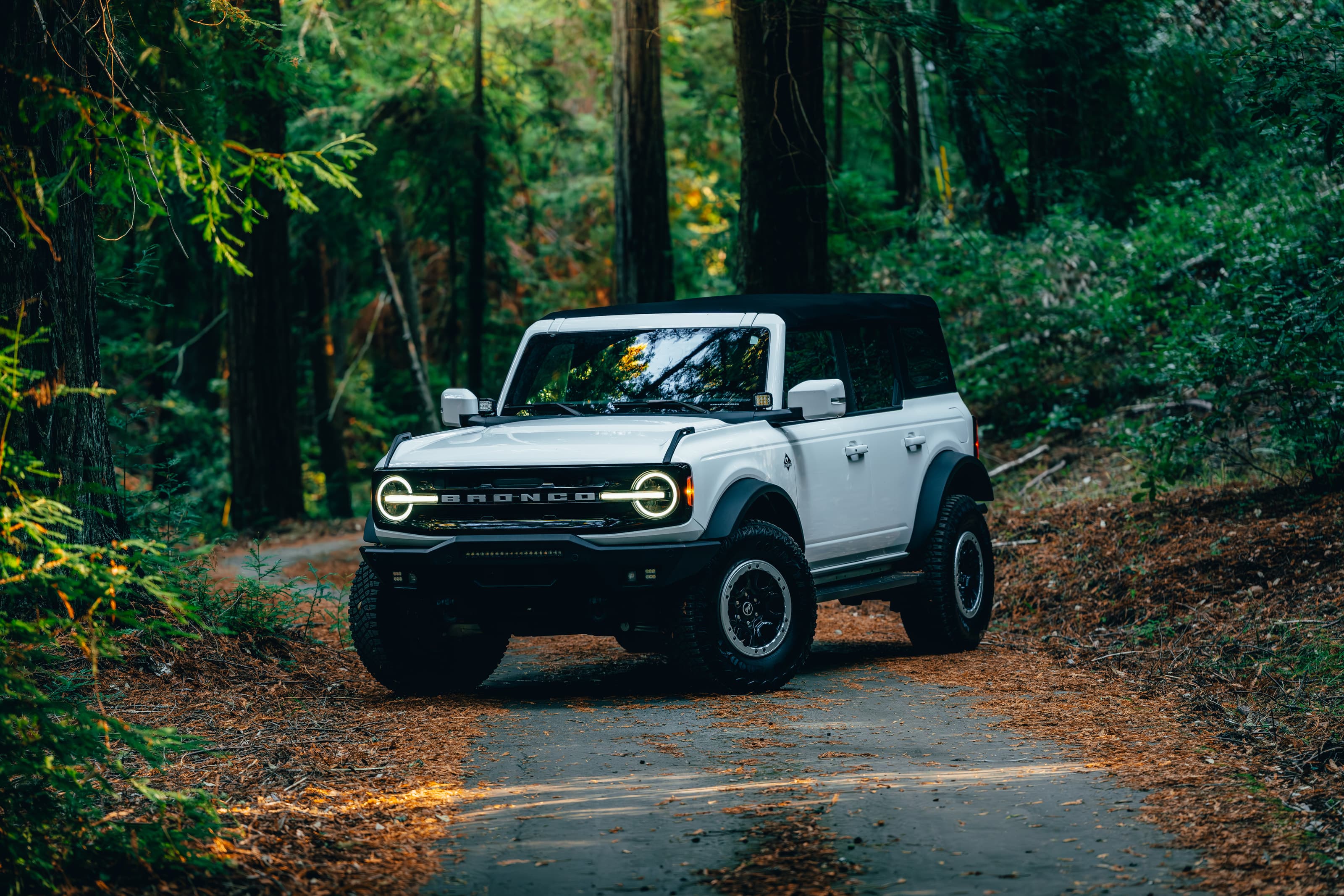Ford Bronco, California landscape