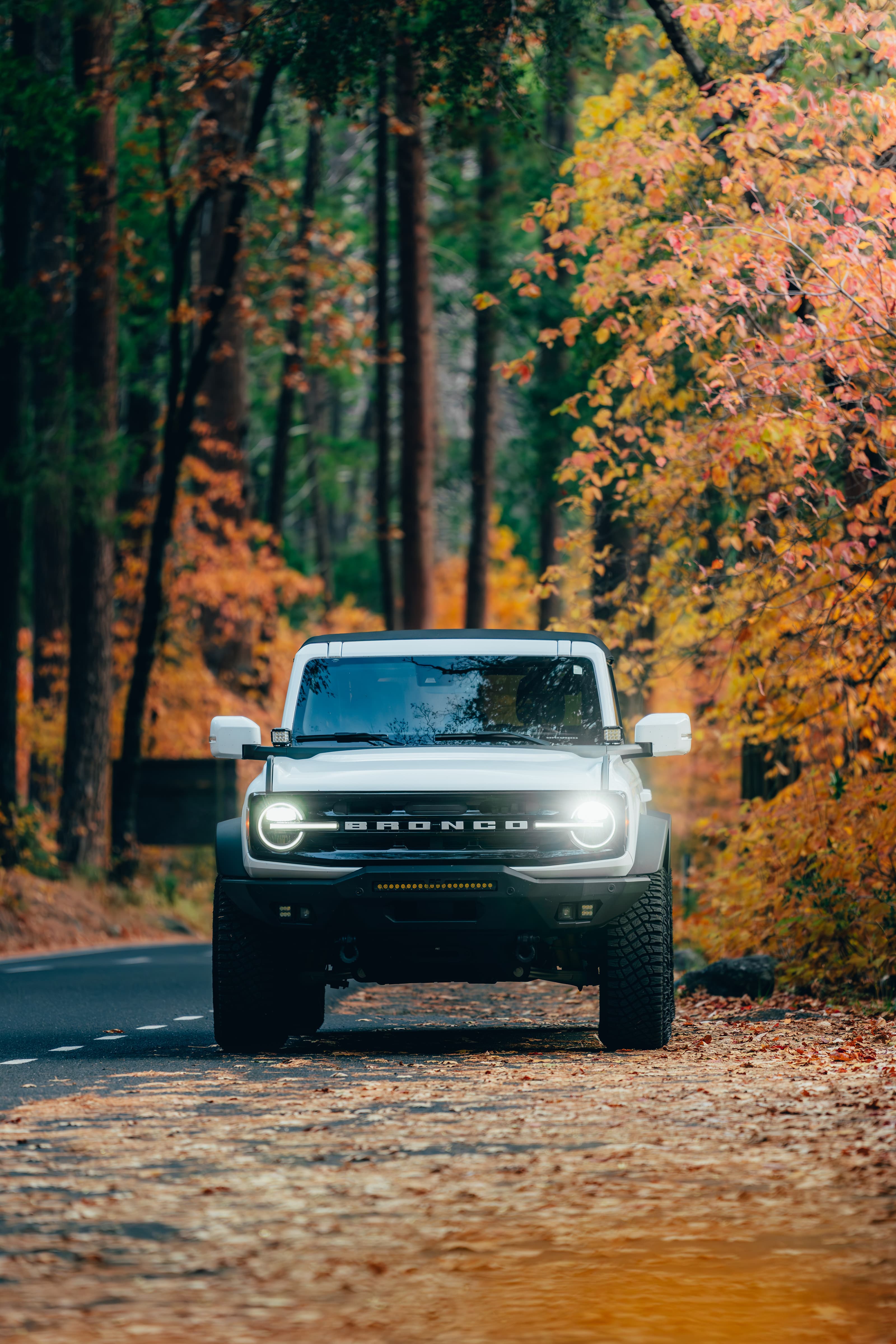 Ford Bronco head-on on a road through autumn foliage
