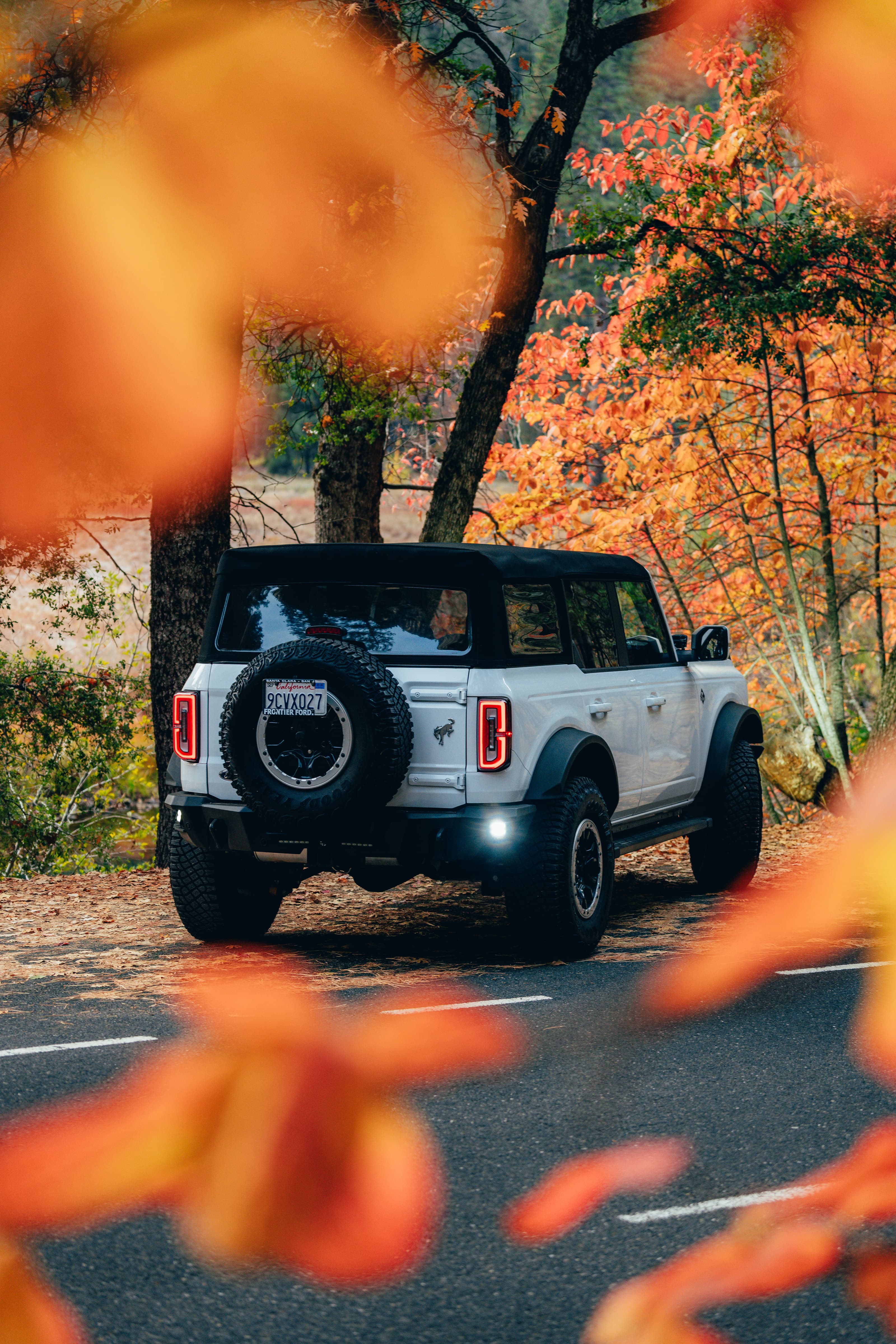Ford Bronco rear, framed by orange autumn leaves