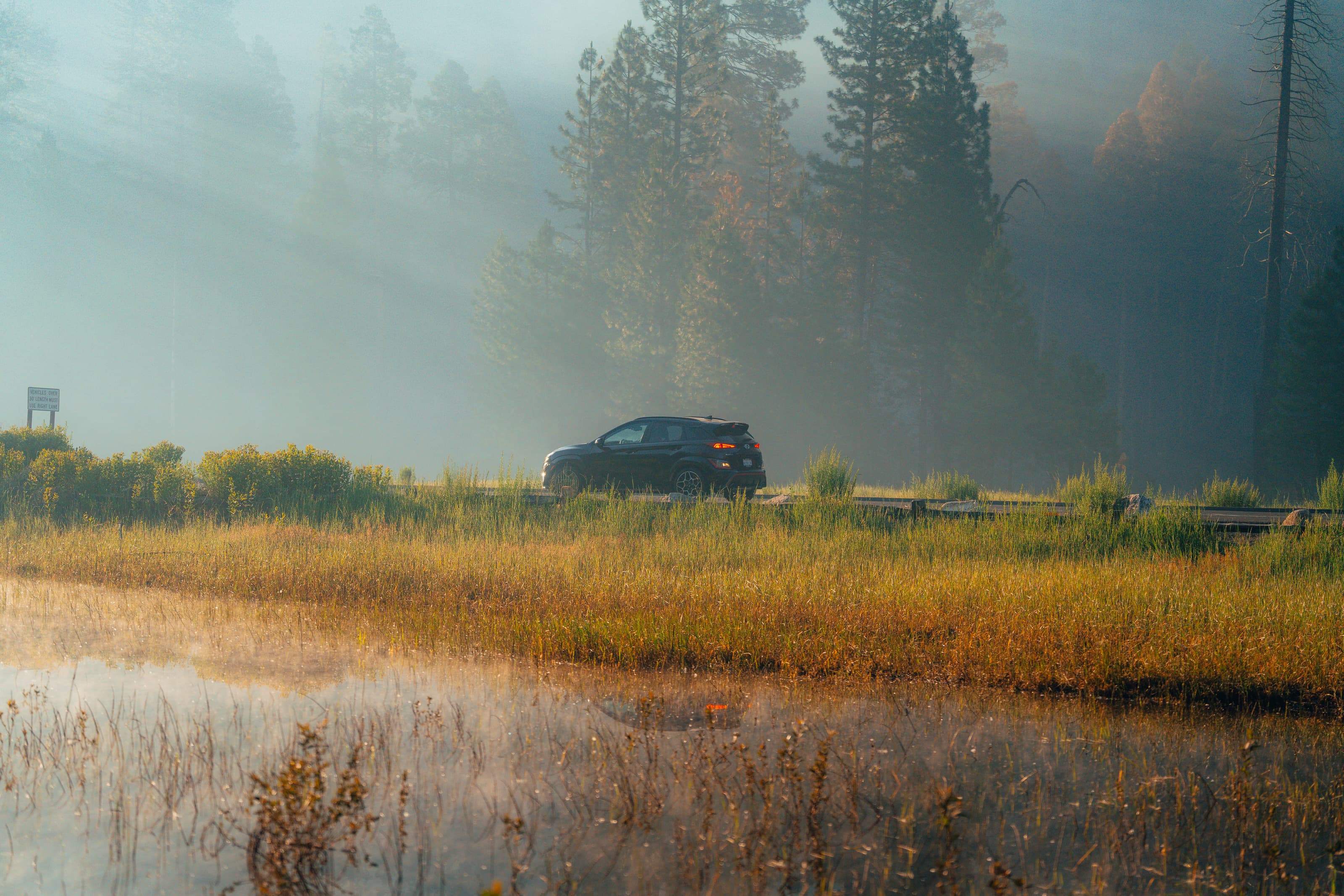 Black Hyundai crossover in a foggy Sierra meadow, light rays through the pines