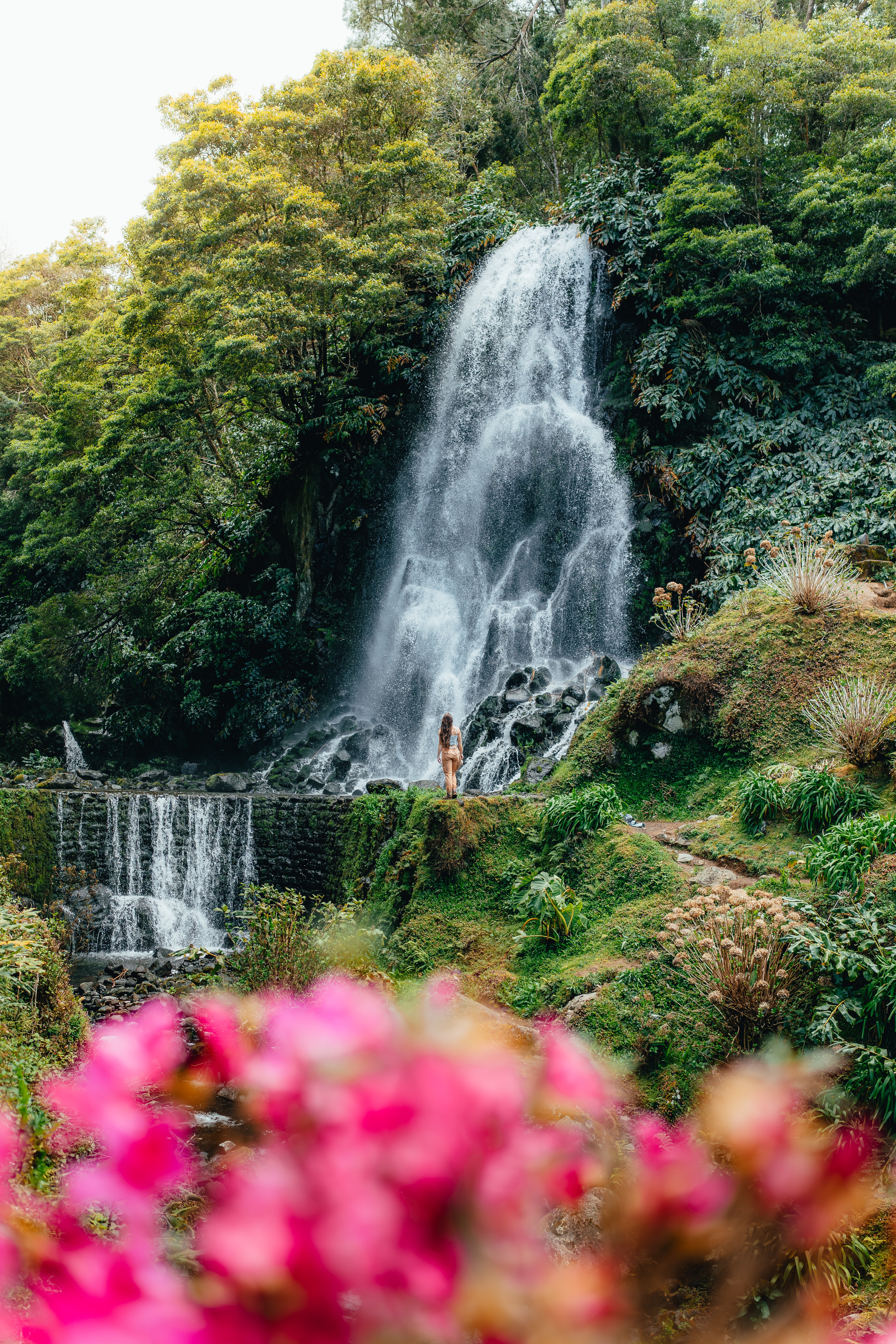 A tall waterfall in a green gorge with pink blossoms in the foreground