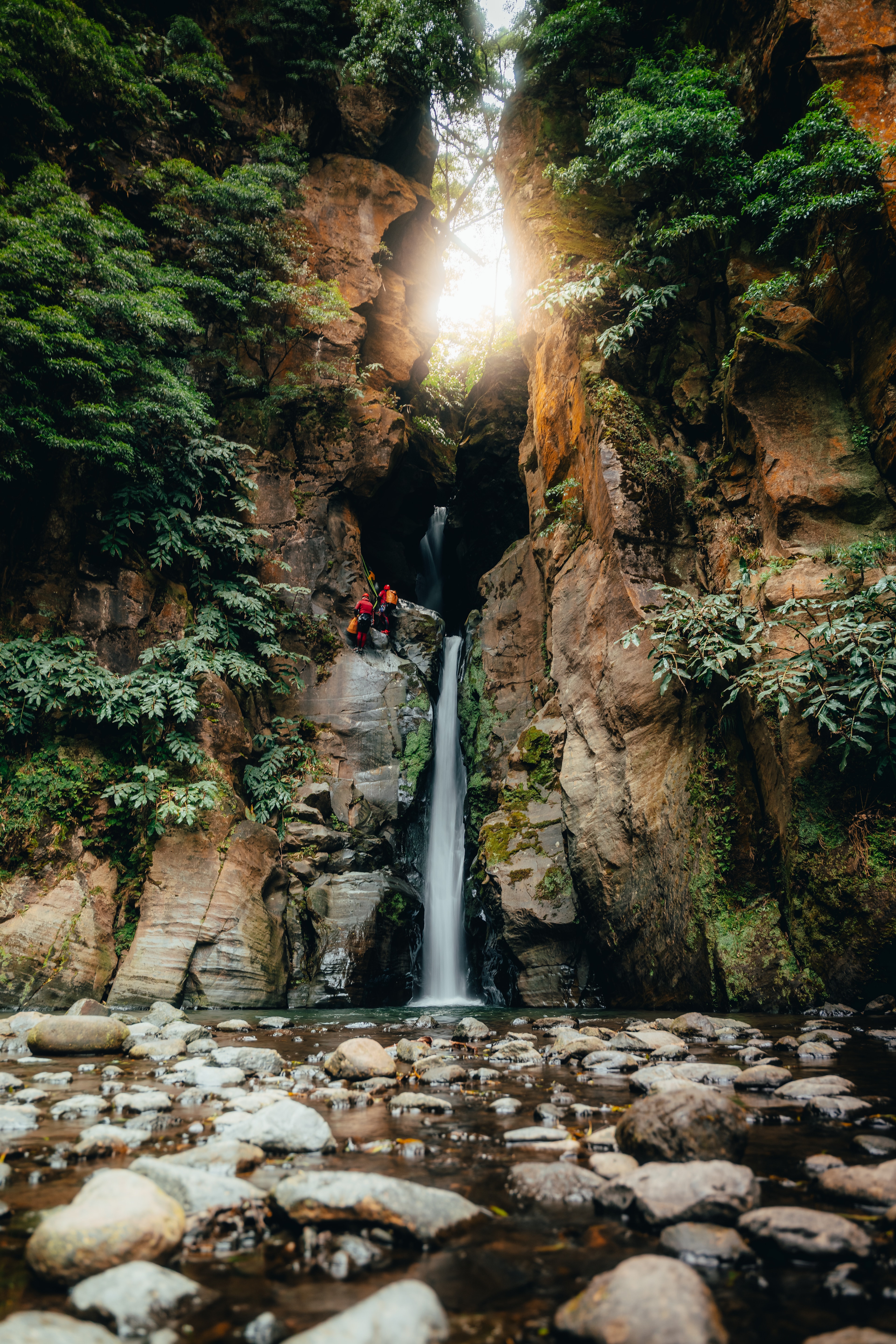 A waterfall pouring into a fern-green ravine as light breaks through