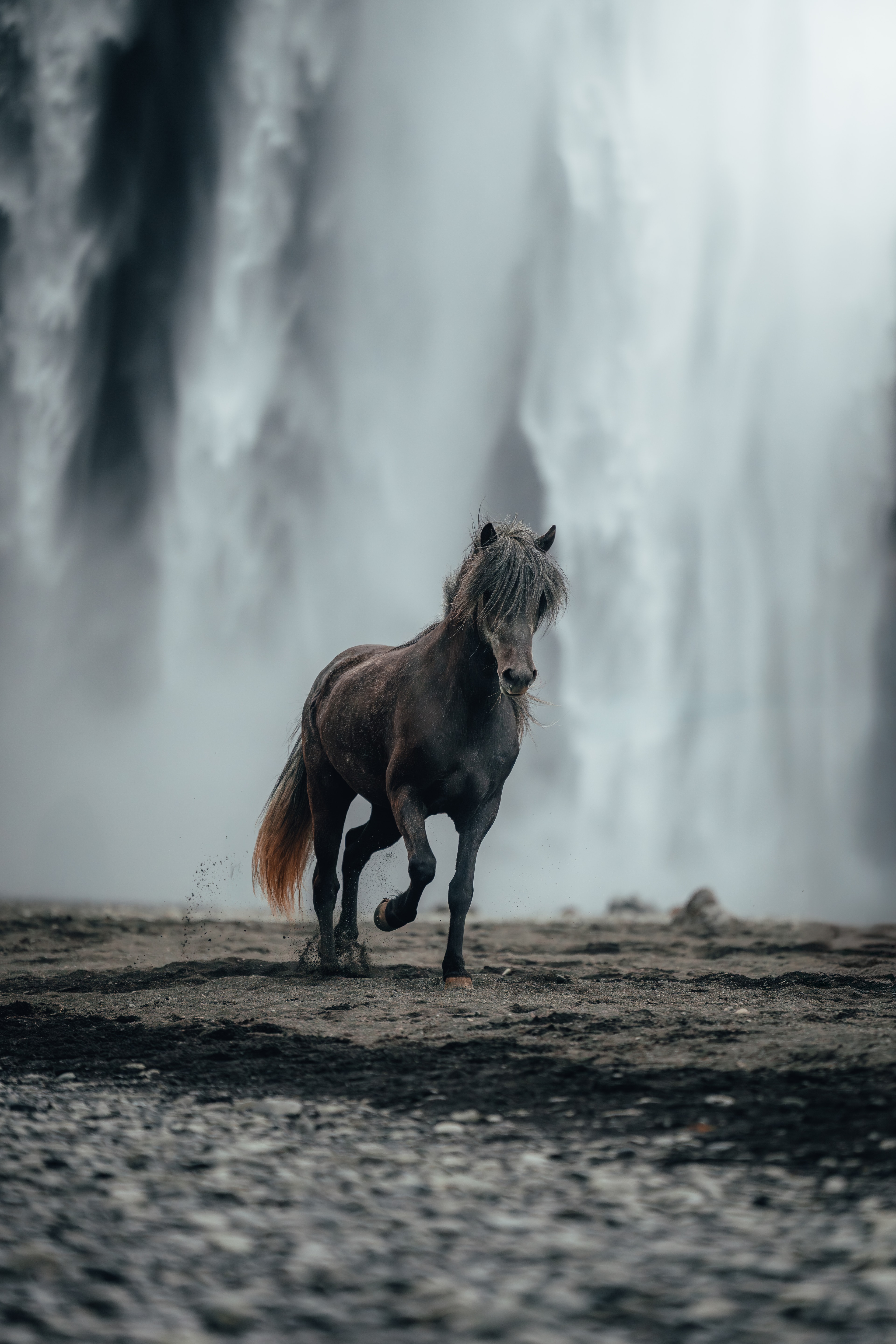 An Icelandic horse cantering out of the mist below Skogafoss