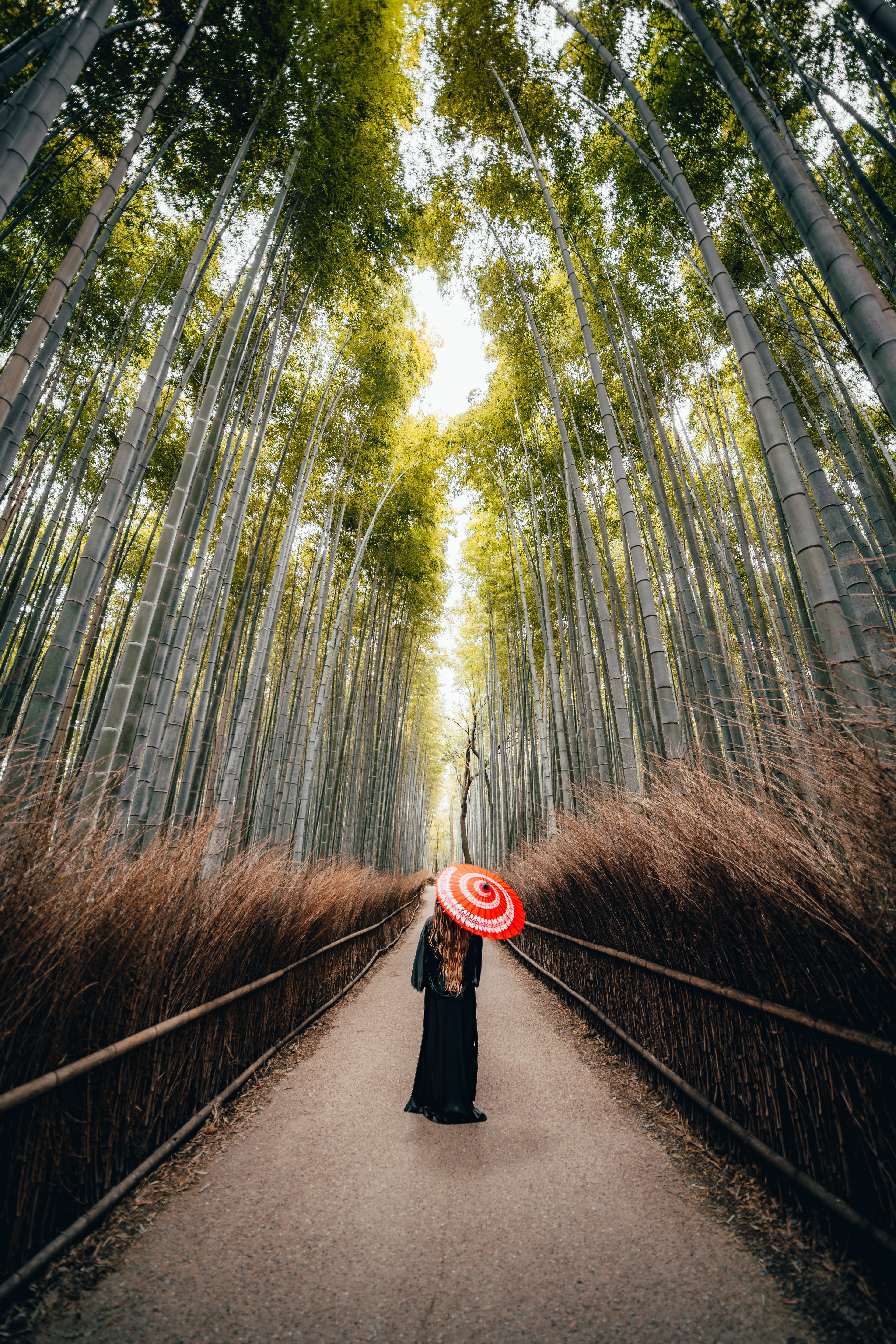 A figure with a red parasol on the path through the Arashiyama bamboo grove