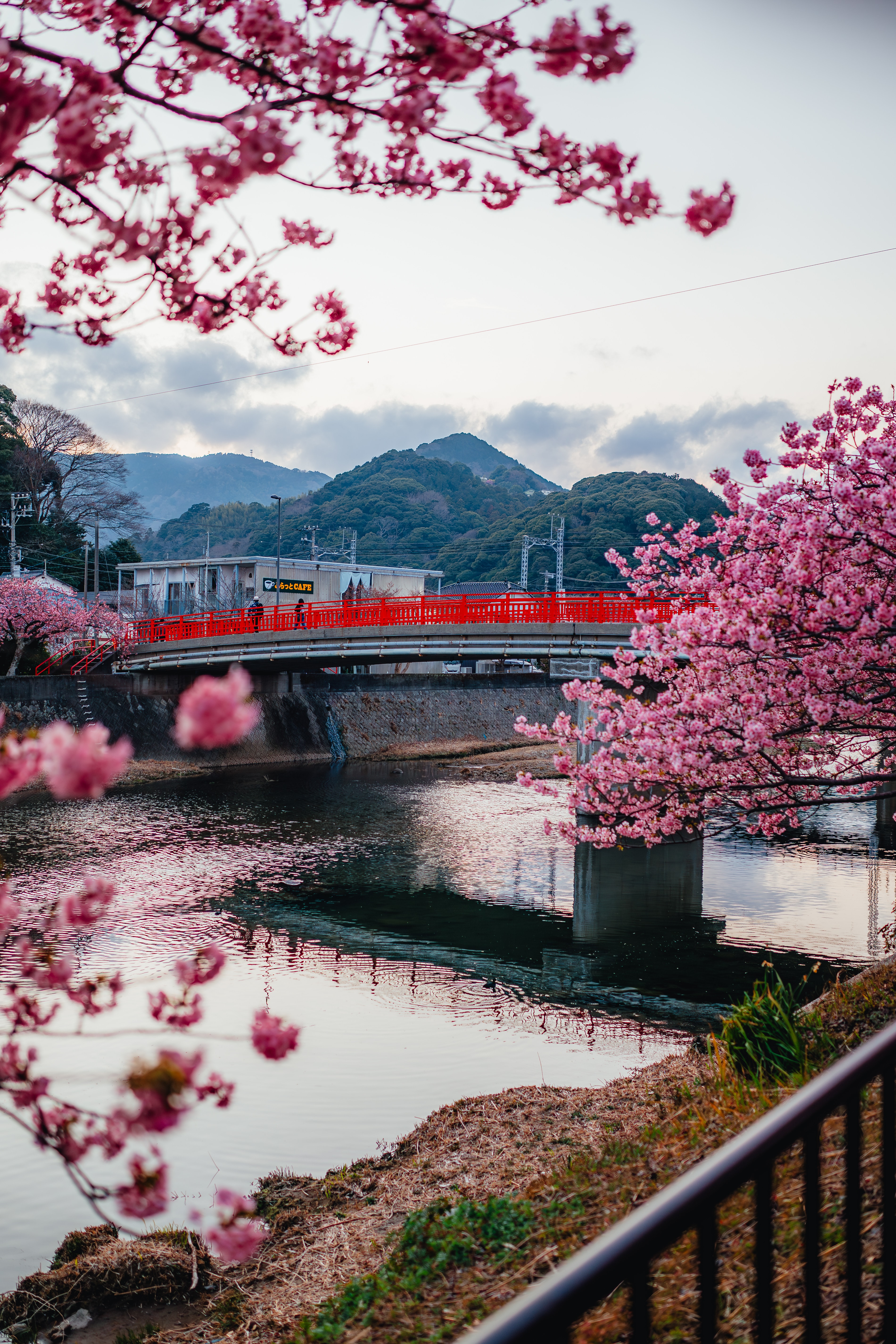 A red arched bridge over a river, framed by blooming cherry trees and distant hills